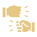 File a Dispute